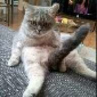 kheseed