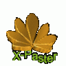 X-PASTER