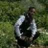 amido