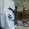 Said Masud