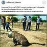 mwihava