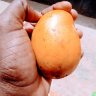 Bakulubembe