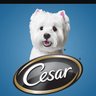 Cesar