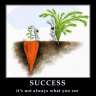 Leadership Consultant