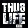 The Thugs001