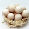 Shamba eggs