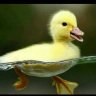 DarkidMtoto