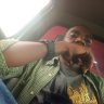 Hemed01