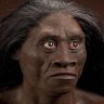 Homo Floresiensis