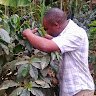 Amani2017