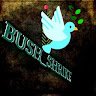 bush_shrike