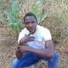 Manai Tz