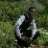 amido