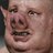 pig man