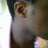 eriq