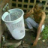 wa leo leo