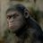 The Ape