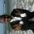 James Lutumo jr