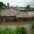 malishe