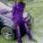 zachariah mr