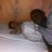 Jumong jr