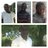 frmjohn