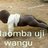 Dharau mingi