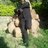 mfungo Richard