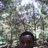 jaymore