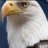 Eagleboy