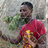 jodas_tz