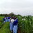 Mwalwembe