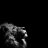 Aslan 7