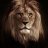 Simba Mlevi