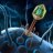 Bacteriophage