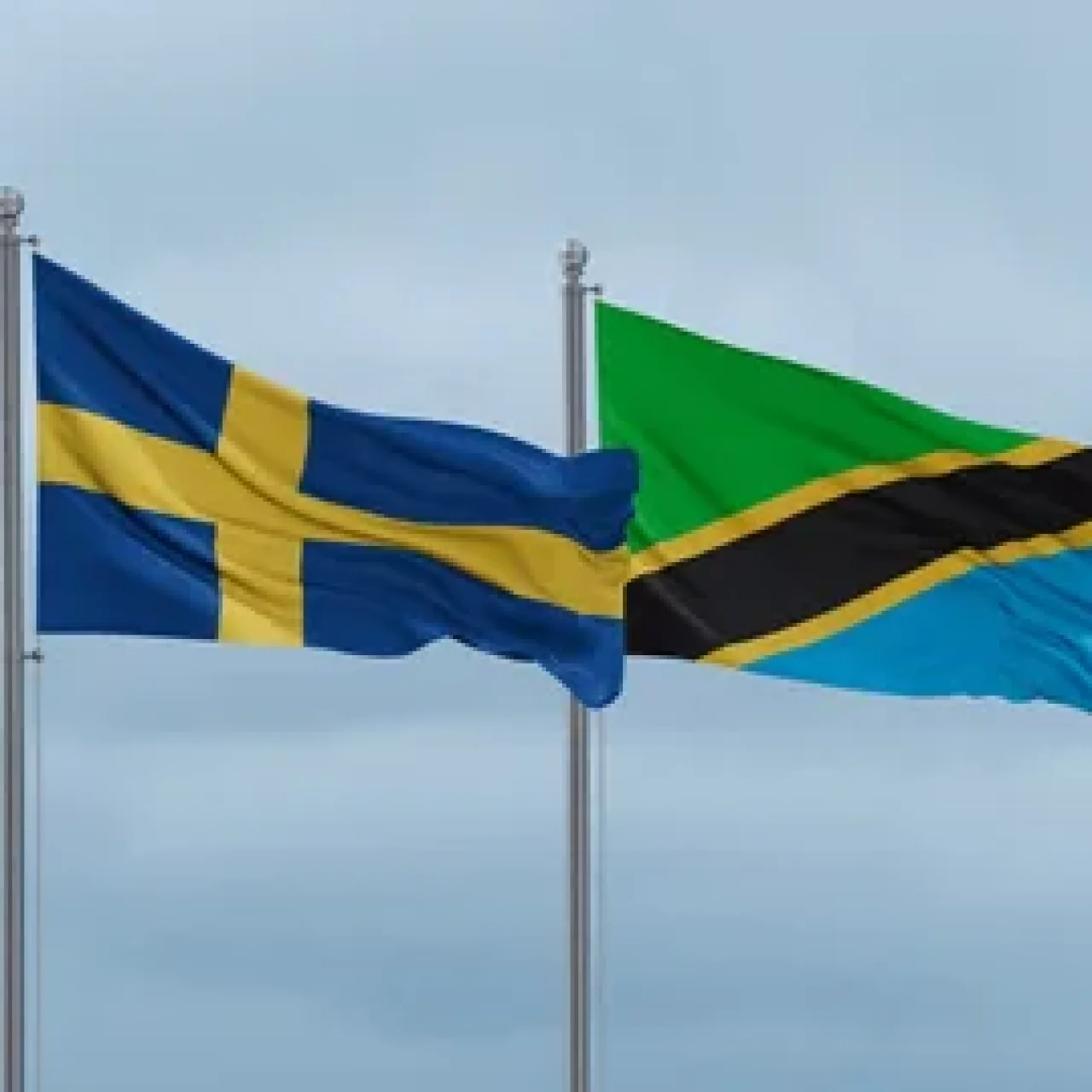 Sweden kusitisha Ushirikiano wa Kimaendeleo na Tanzania
