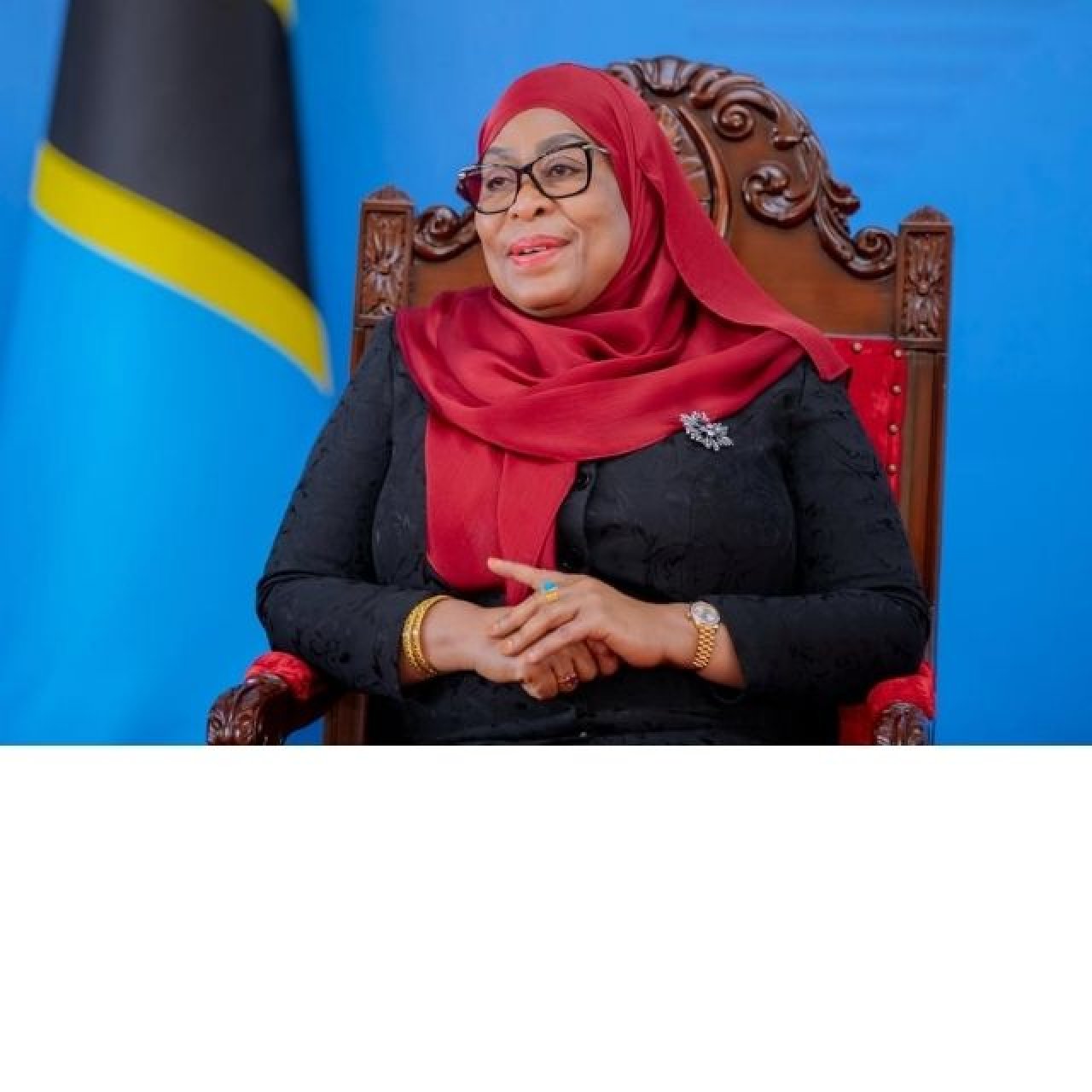 Rais Samia: Mabalozi wameshuhudia uzuri wa Katiba yetu