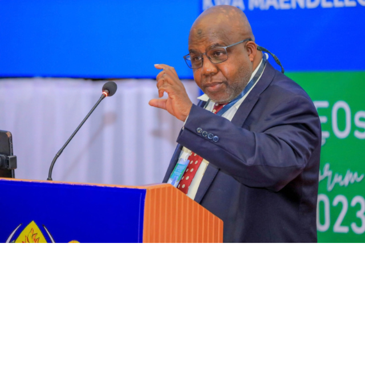 Mahakama: CAG hawezi kuondolewa Madarakani kwa Utashi wa Kisiasa
