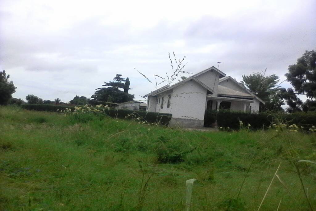 06ad315debcc699be4f4654c4772d0c5.jpg