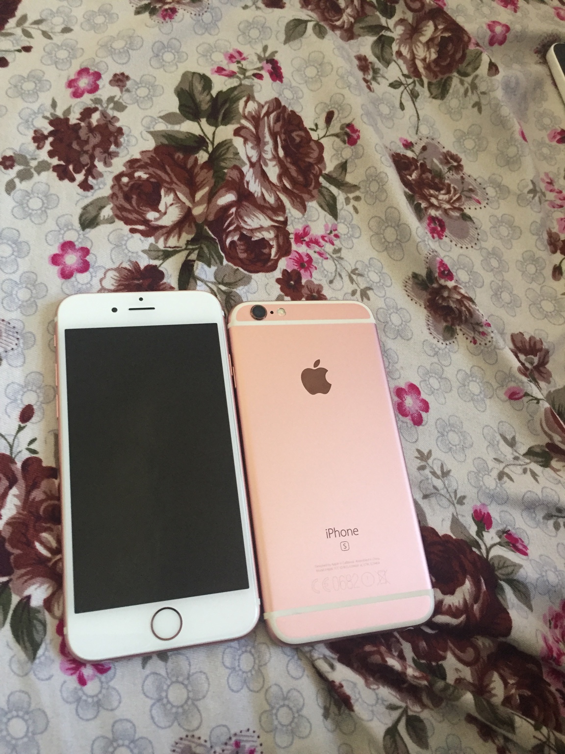 10f14d61a4746b877e6683b20d73cb65.jpg