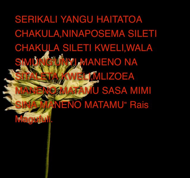 4ebcec35cce050909f1239bebc56daf7.jpg
