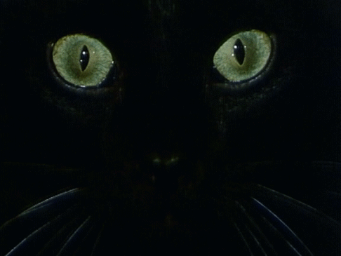 6605ebd857797d297e46ae415f6e3207.gif