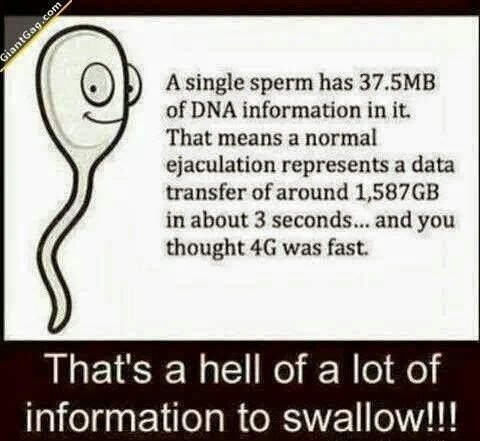 7532678e068b1951f97afd054642d766.jpg