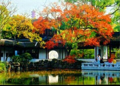 9158e18ada298136b61789e91240a37f.jpg