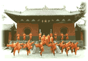 fb67b102702b8c5379b90d4c5ff93e9b.gif