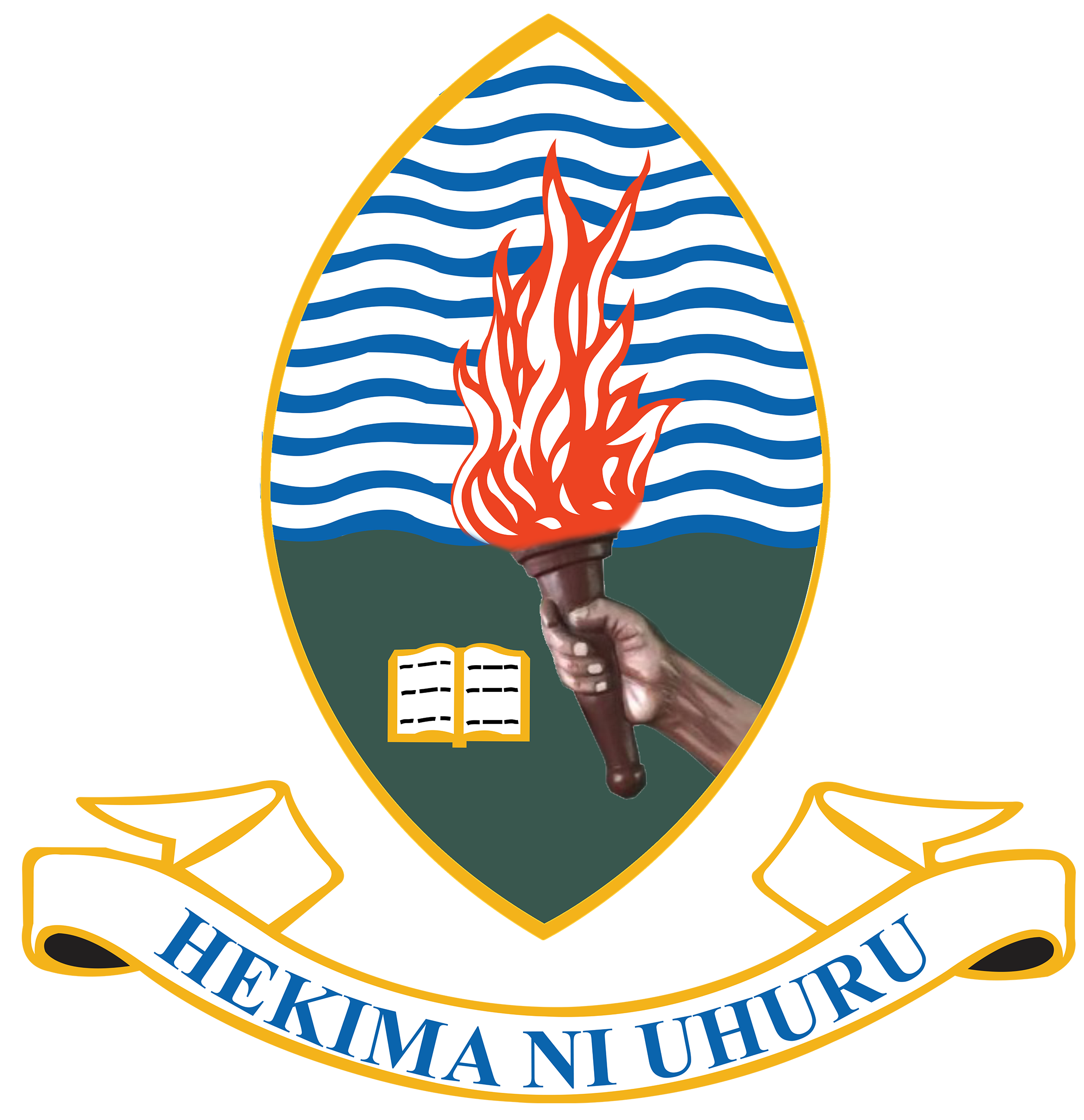 www.udsm.ac.tz