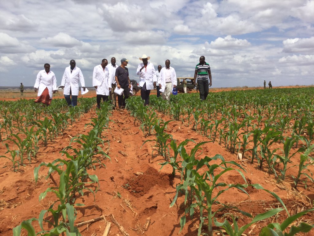 CmbkWlDXgAAzOjW.jpg:large