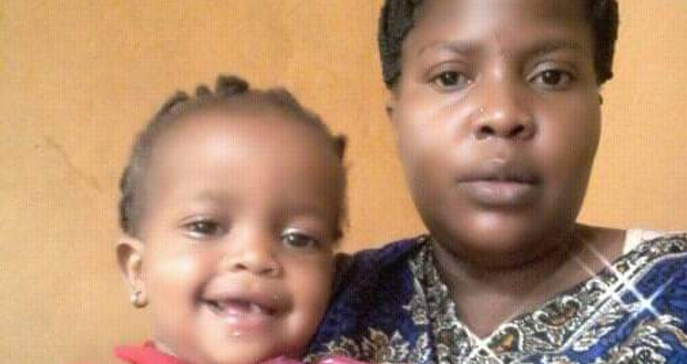 theinvestigatornews.com