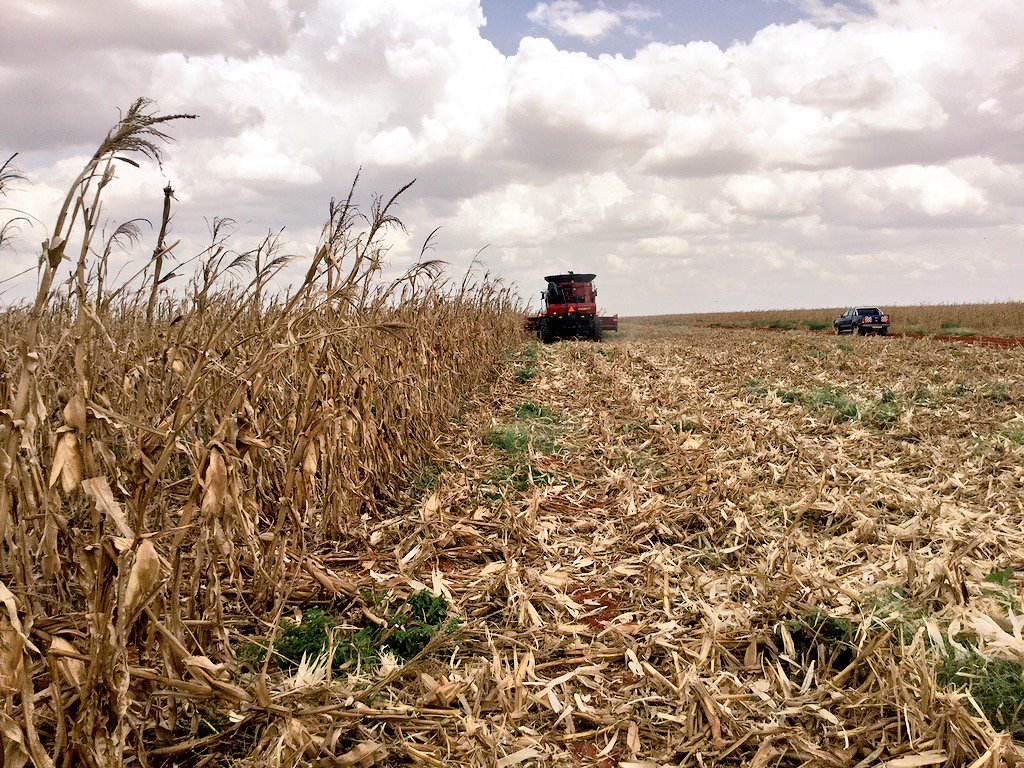 Ce9I36FWsAAwM48.jpg:large