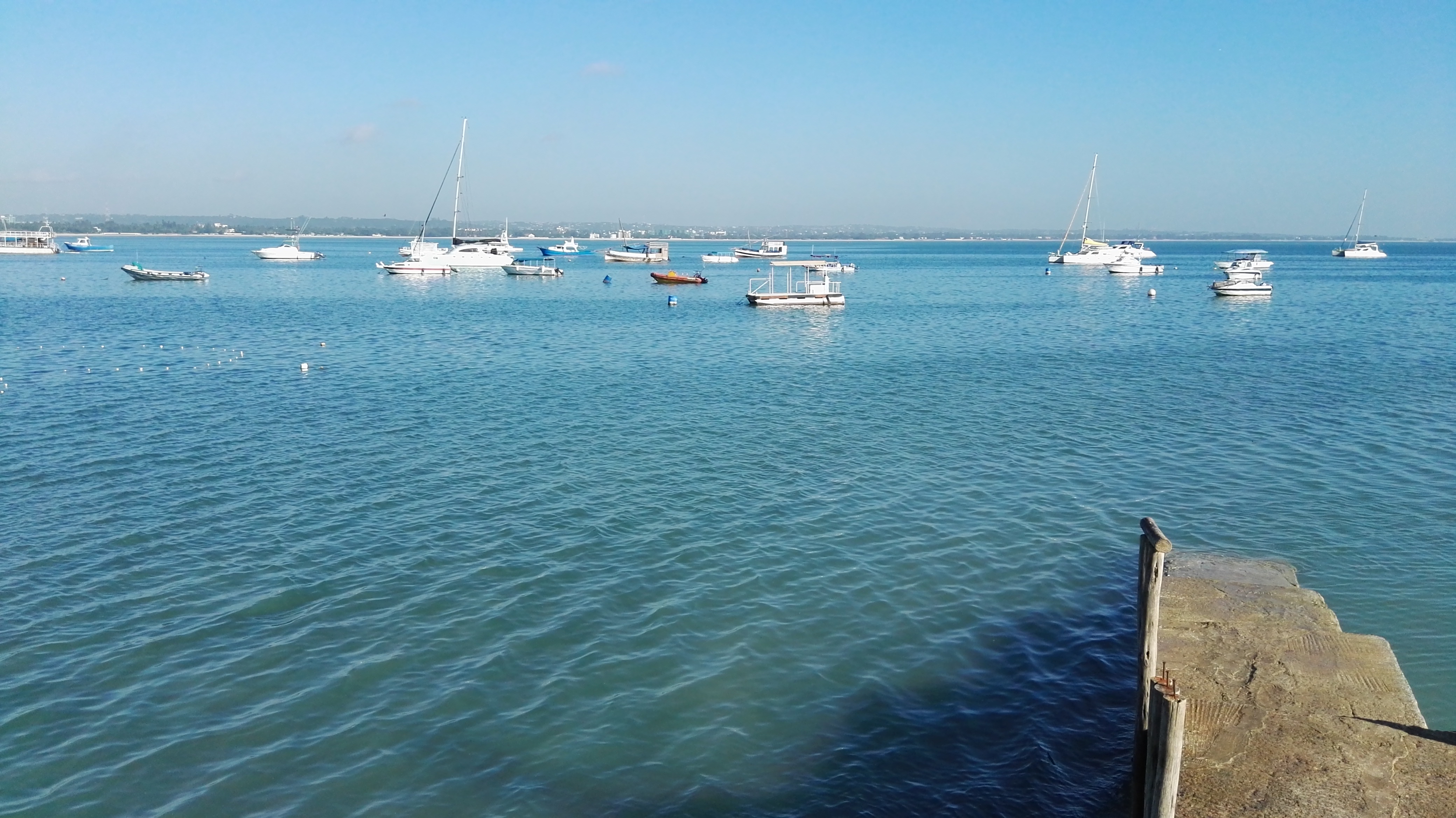 AF1QipMbmje7eYqml5t4iHdDUiHN7lu9Lo1R64ZVdoMB=s0